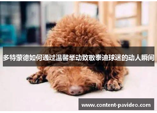 多特蒙德如何通过温馨举动致敬泰迪球迷的动人瞬间