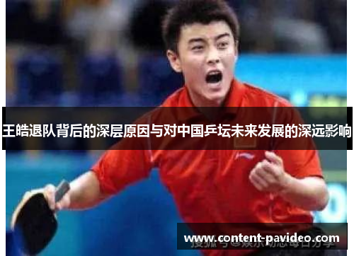 王皓退队背后的深层原因与对中国乒坛未来发展的深远影响 王皓退队背后的深层原因与对中国乒坛未来发展的深远影响