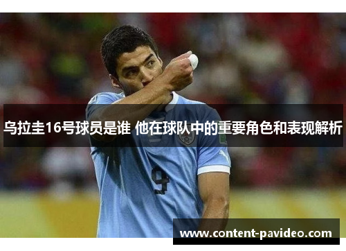 乌拉圭16号球员是谁 他在球队中的重要角色和表现解析